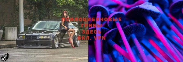 спайс Медвежьегорск