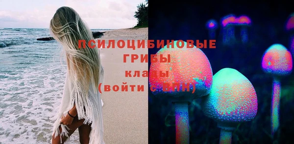 мяу мяу мука Снежногорск