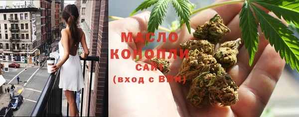гашик Тобольск