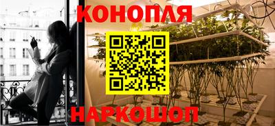 mdpv Гусев