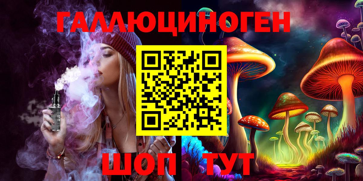 где найти   Вход с VPN  Усть-Джегута  Галлюциногенные грибы Psilocybe 