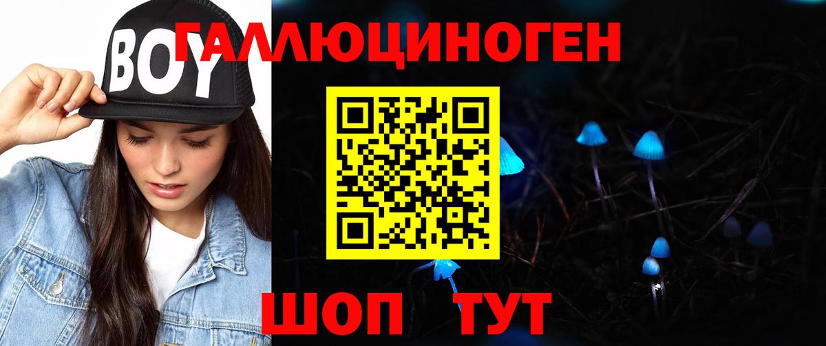 Псилоцибиновые грибы ЛСД Усть-Джегута